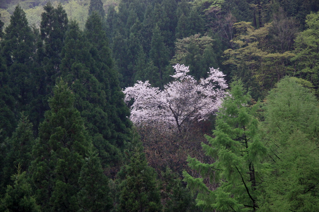 山間には、、、_b0093678_23155843.jpg