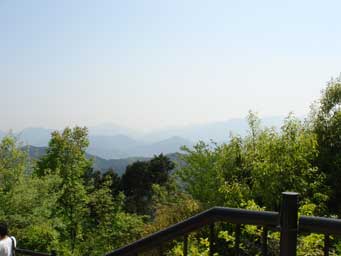d0147378_16543232.jpg