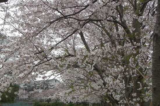 b0011980_20194968.jpg