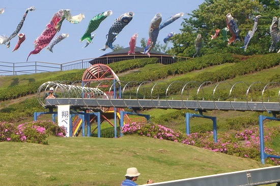 b0011980_217825.jpg