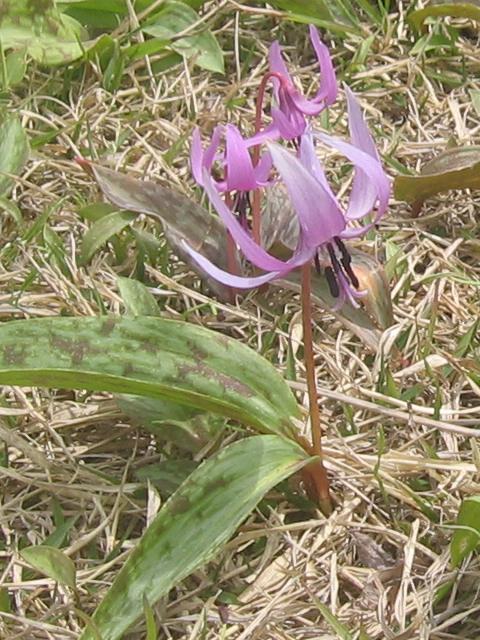 a0005083_20461016.jpg