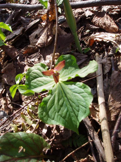 b0113483_16422418.jpg