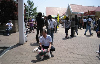 f0169884_1732068.jpg