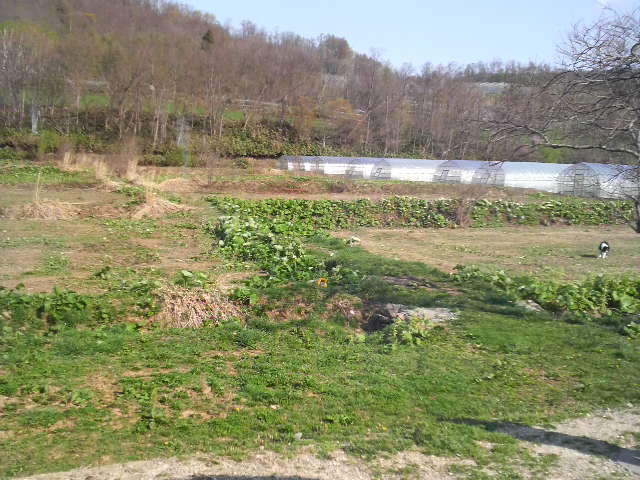a0116885_17211597.jpg