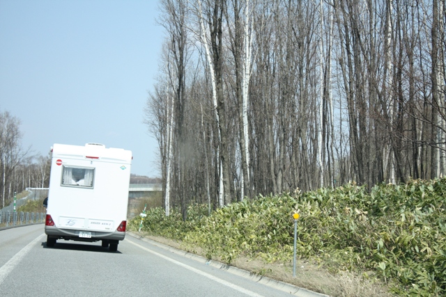 b0075486_2327115.jpg