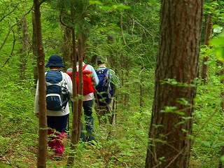 鈴ヶ音峠から九鬼山（970ｍ）_e0008887_39557.jpg