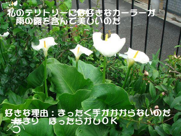b0101991_1582215.jpg