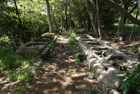 城下町・佐倉に遊ぶ～その１～佐倉城址の空堀と便所跡_f0159291_16154535.jpg