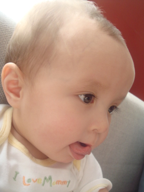 c0103793_1781451.jpg