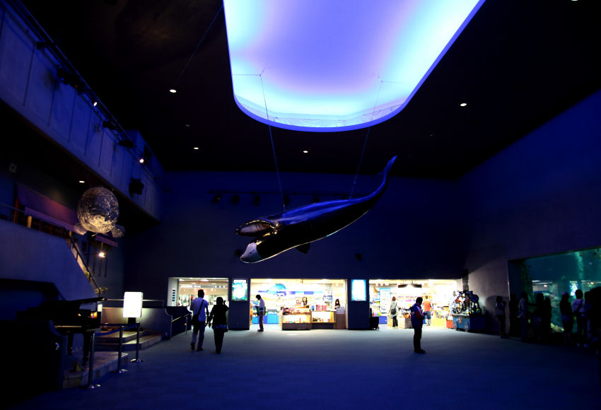 f0195893_1719638.jpg