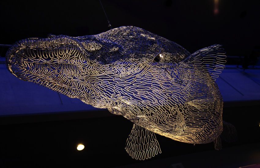 f0195893_1721224.jpg