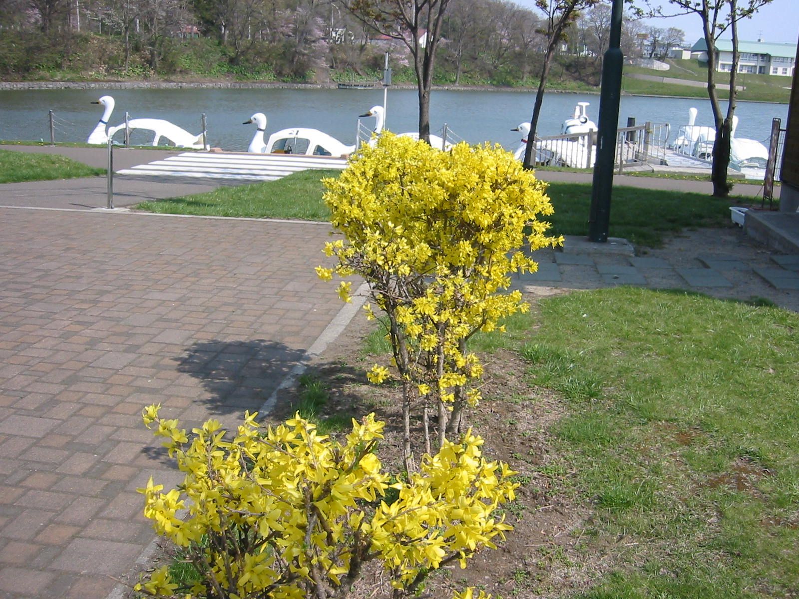 f0057094_1731244.jpg