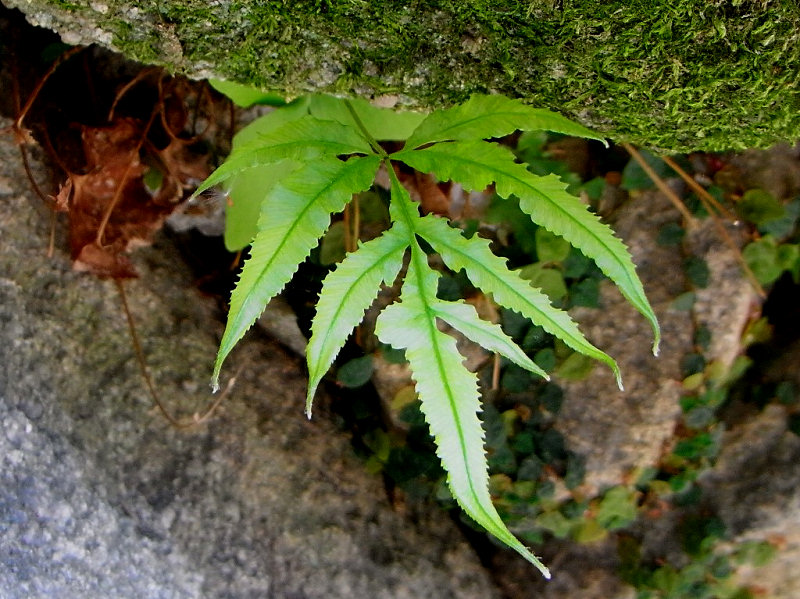 f0204094_1805366.jpg