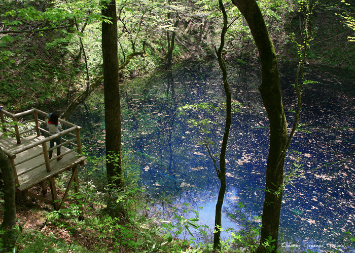 d0112801_22505445.jpg