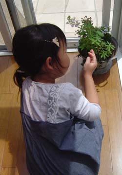 c0128402_1111915.jpg