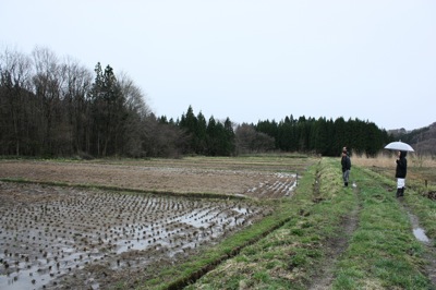 窓山に行ってきました_f0090602_53303.jpg