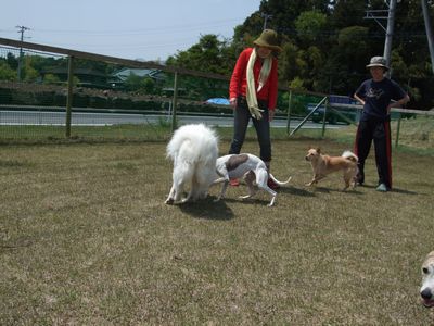 d0149103_13335831.jpg