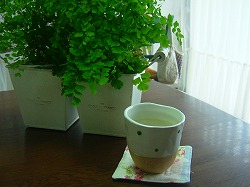f0181005_1551699.jpg