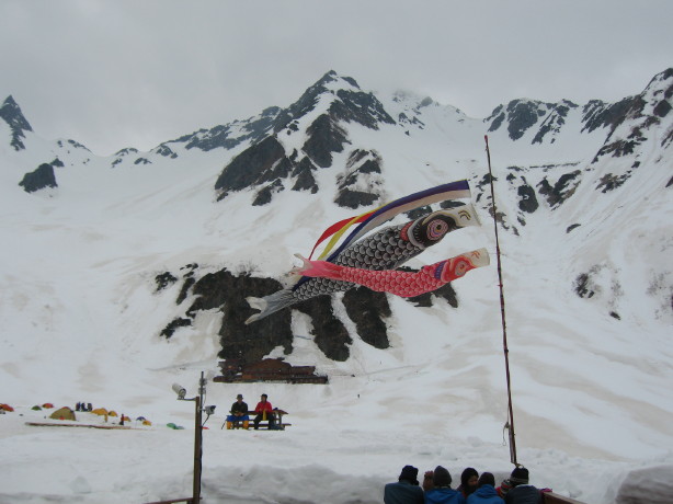 d0103314_23431913.jpg