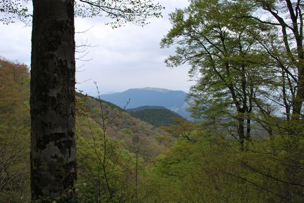 f0183814_854336.jpg