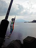 e0114015_12101494.jpg