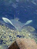 e0114015_1210333.jpg