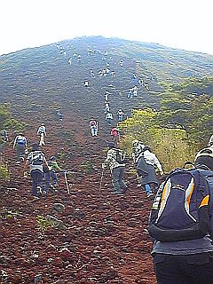 e0114015_1220250.jpg