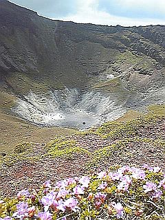 e0114015_1221132.jpg