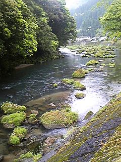 e0114015_1265549.jpg