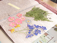 e0100618_17444664.jpg