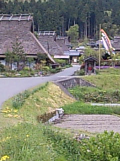 連休!!(Ⅱ)_e0110119_14581443.jpg