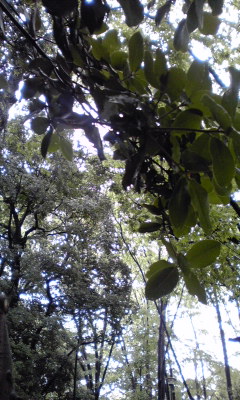 c0160822_0265136.jpg