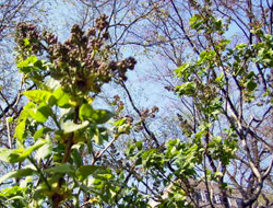 f0165224_22502721.jpg