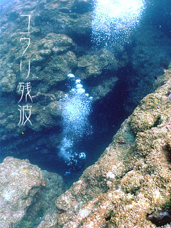 d0107725_2013560.jpg