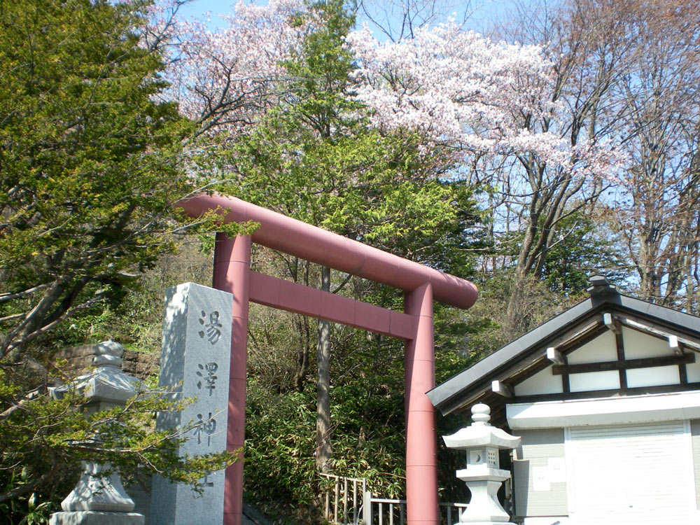 e0037129_1536833.jpg