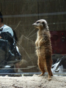 ごはんの時間　＠上野動物園：４_e0043829_14281999.jpg