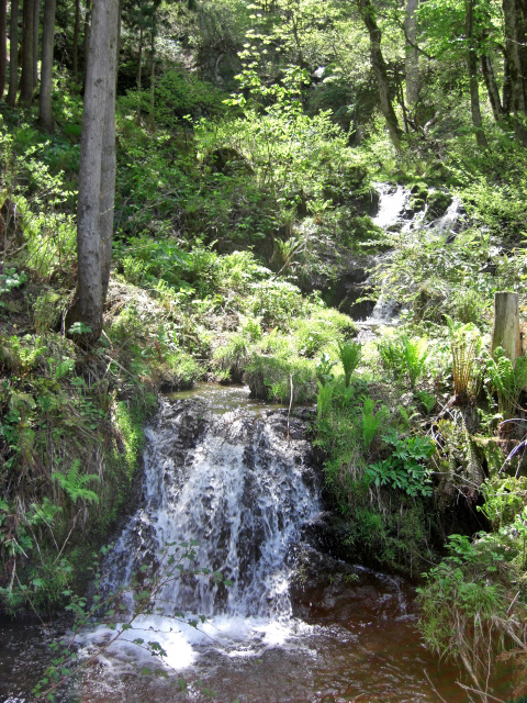 f0020336_20334030.jpg
