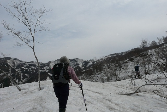 朝日軍道の山・葛城山（５月３日）_f0003138_9211283.jpg