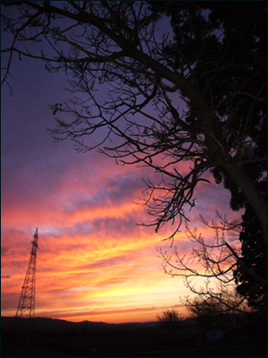 f0084138_22462163.jpg