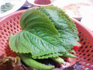 e0018041_23442986.jpg