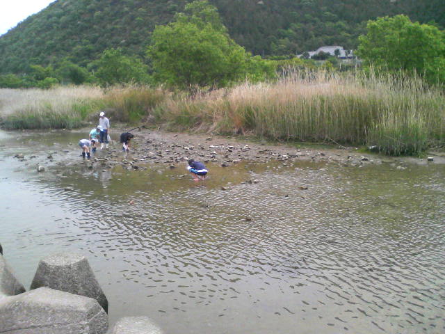 f0088647_93887.jpg
