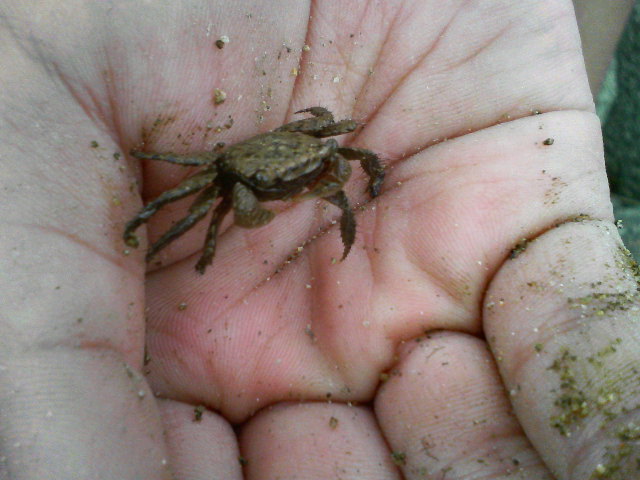 f0088647_96489.jpg