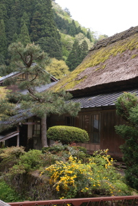 f0205148_10123374.jpg