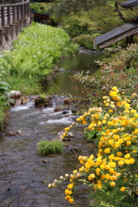 f0205148_10243684.jpg