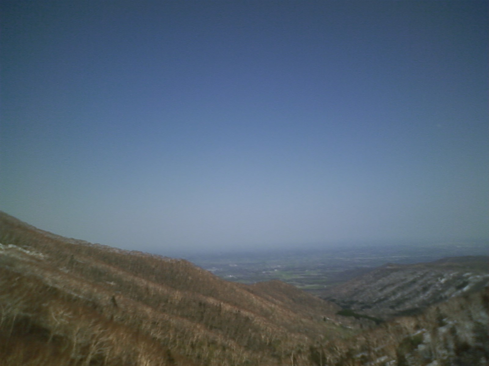 d0081650_4561086.jpg