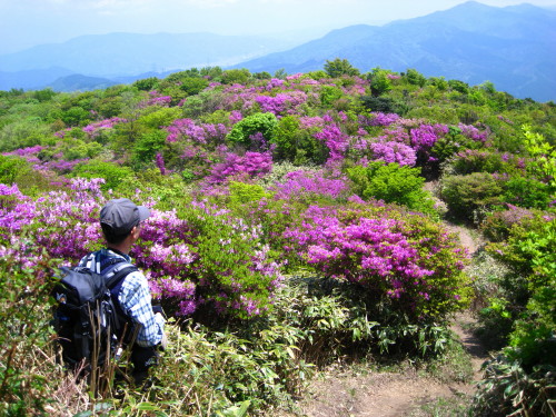 ５１回　８０座　２００９年５月７日　井原山～雷山縦走_c0179351_19193853.jpg