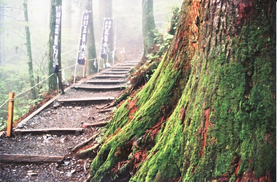 石楠花香る玉置神社_e0156251_649316.jpg