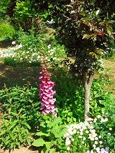 f0207652_1051285.jpg