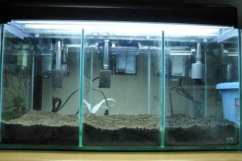 外掛けフィルターレポ Aqualiving