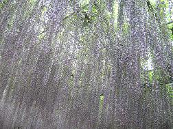 f0139963_6484361.jpg